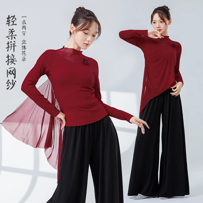 古典舞练功服女秋冬新款长袖加厚网纱飘逸现代形体服上衣修身舞服