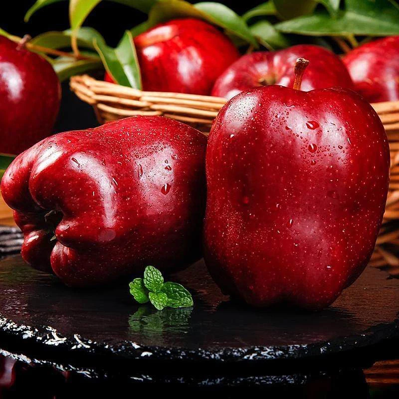 【甘肃天水花牛苹果】甜脆农家种植香味沙甜的花牛水分大饱新鲜采摘