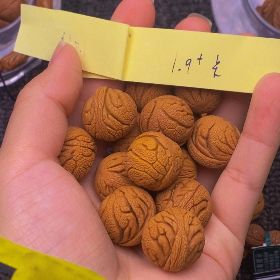 秦岭山脉龙纹桃核。14