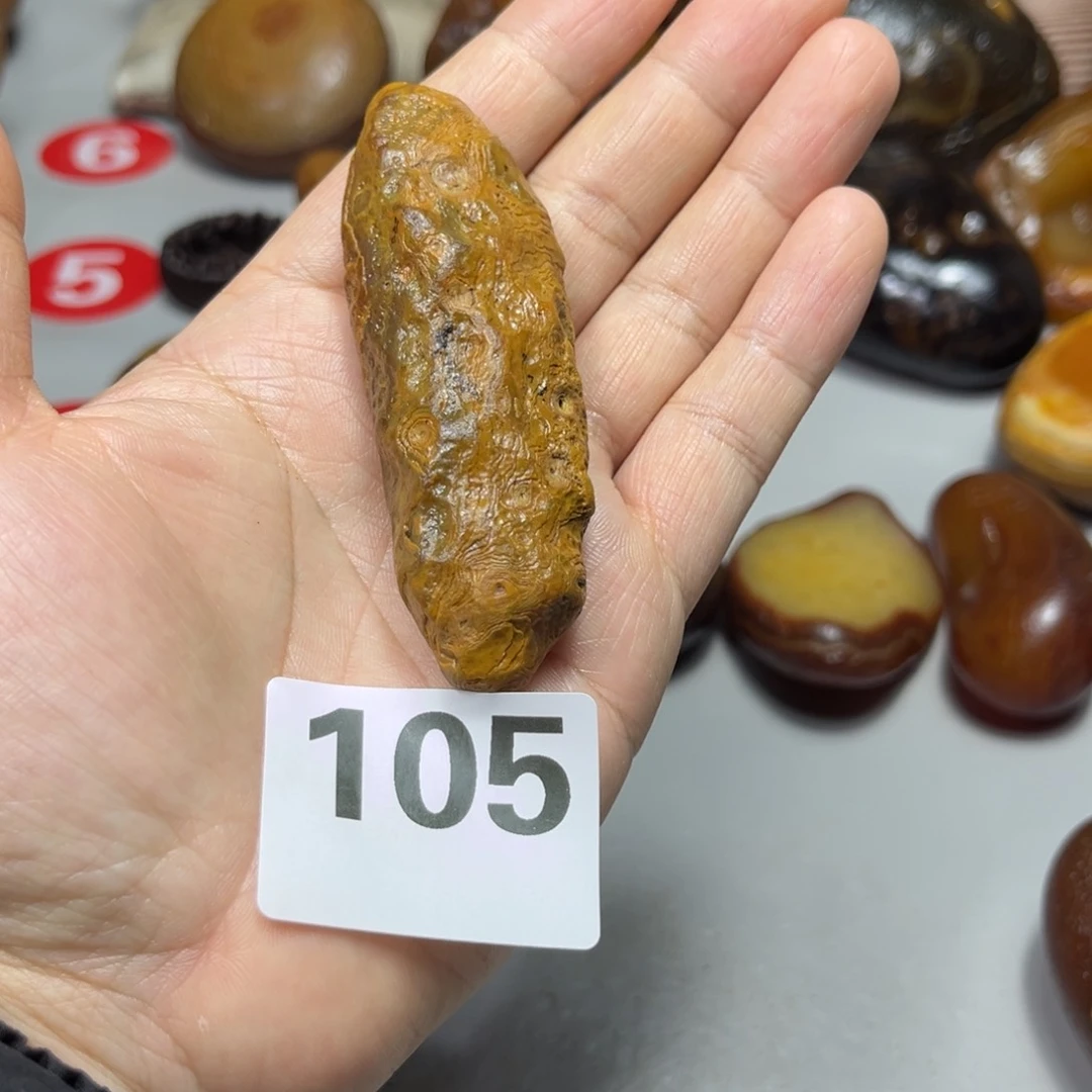 老挝石林*马料马料马料