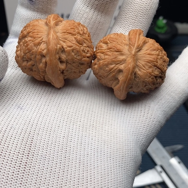 全品血麒麟36尺寸