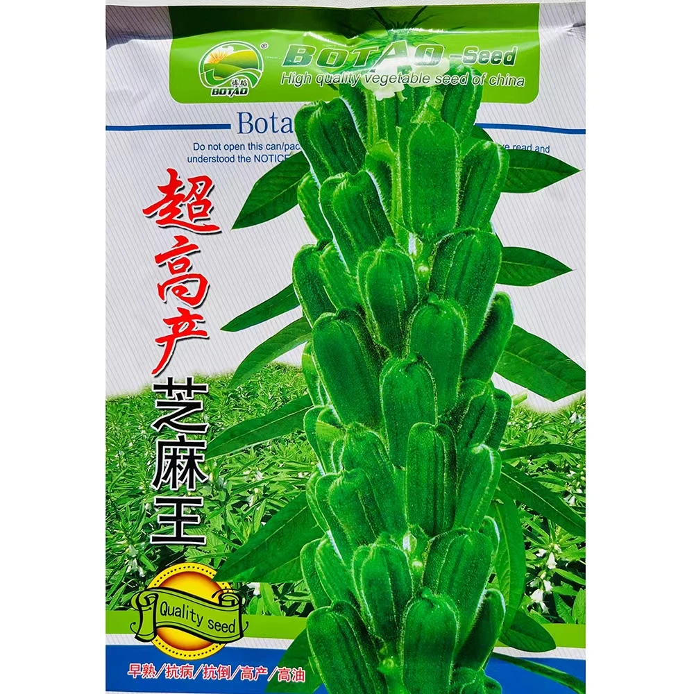 超高产芝麻王白芝麻种子早熟单杆型高油高产抗病抗倒伏春夏季播种