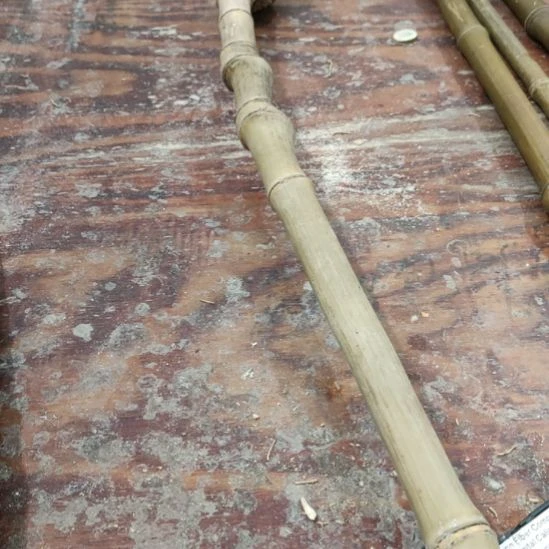 半***酒实心玉竹手把件金条料