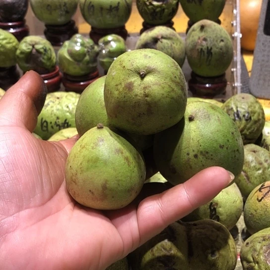 吊坠桃核核桃核桃
