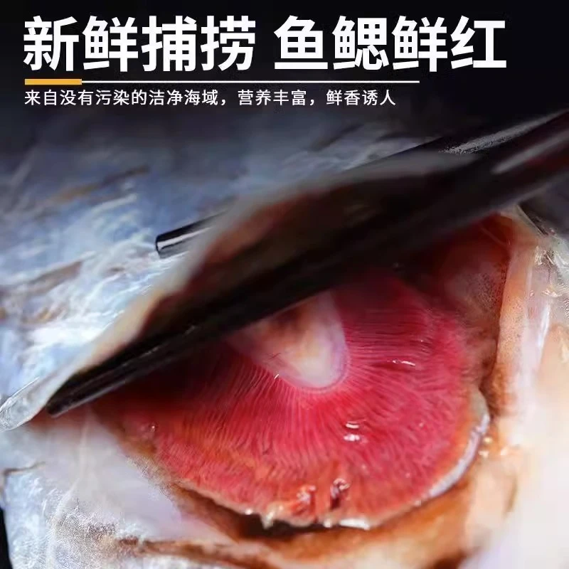 2C微瑕钓带【不含冰净重四两到六两到手5-6条左右】