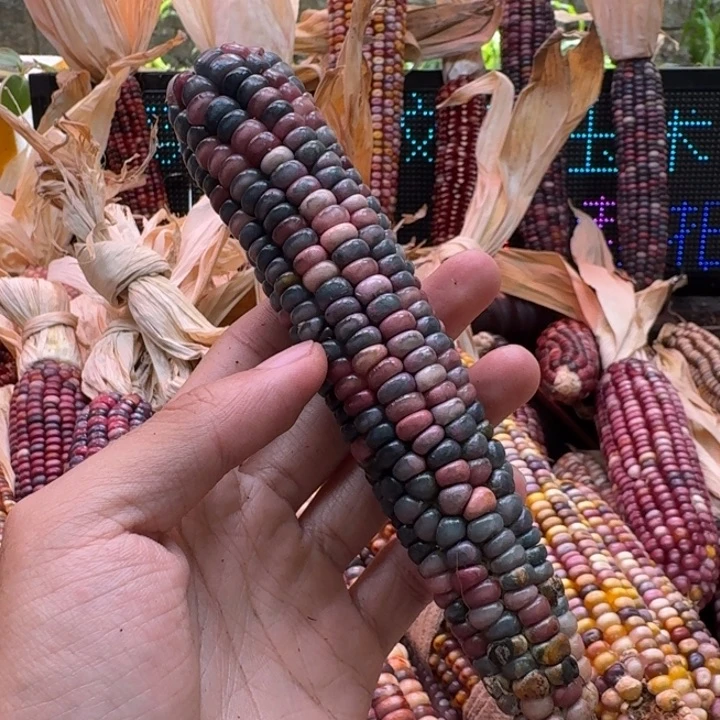 爱***菜柏香籽/百香籽吊坠