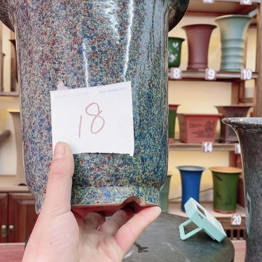 【闪购商品】紫砂花盆楚**香兰花752555452255845555