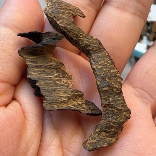 摆件沉香老海南鸡母虫