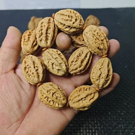 木质类纯野生山核桃     3