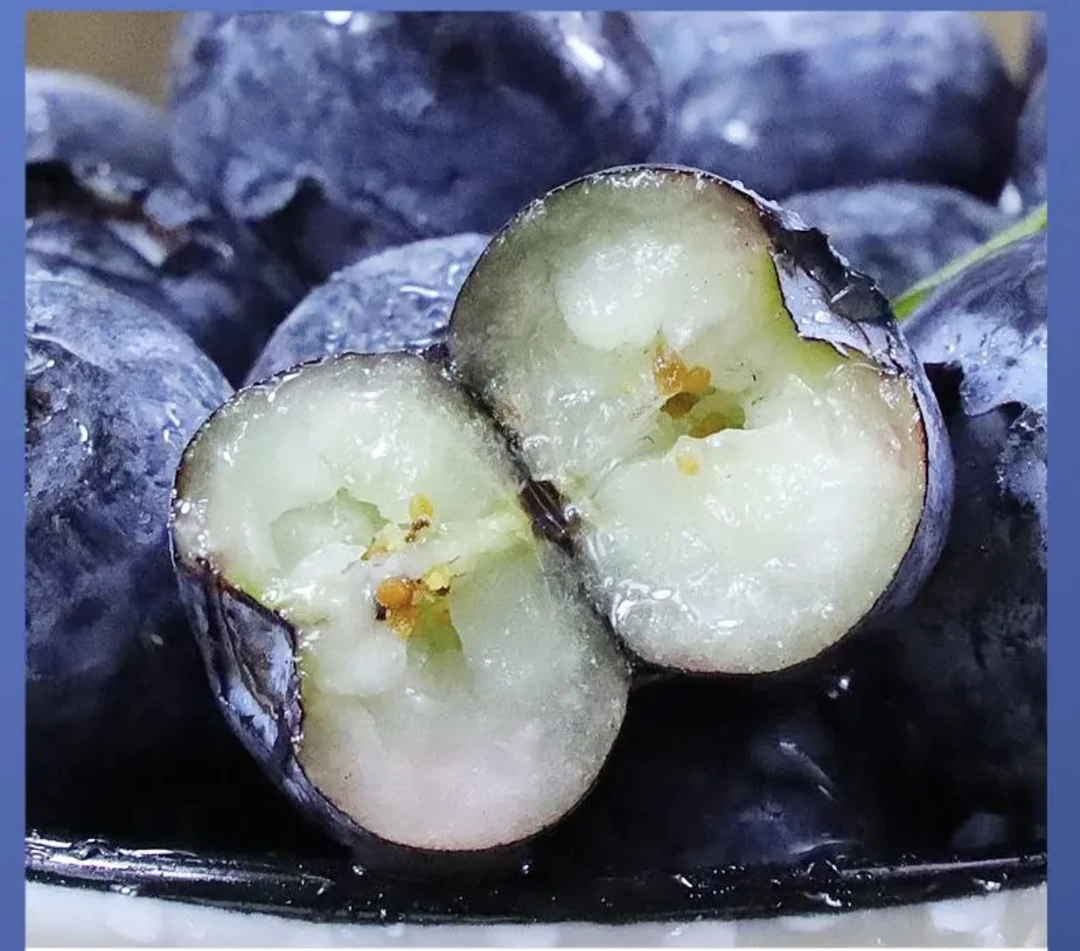 【头茬特大果】花香蓝莓18-20mm 现摘现发 100g/盒 *12盒 顺丰发货