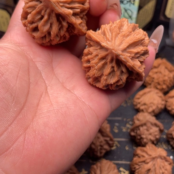 西***询核桃43尺秦岭野生龙鳞