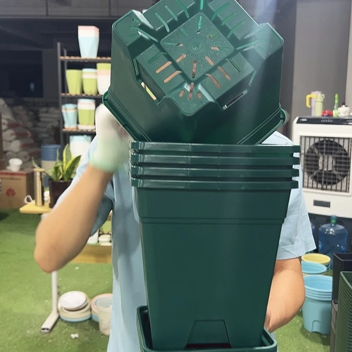 正品方盆口20高22墨绿5只带托