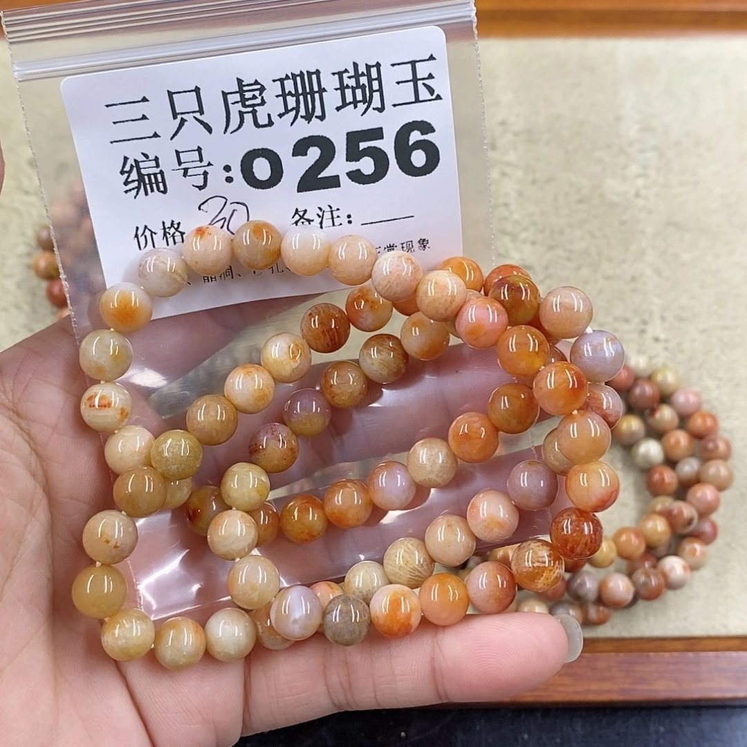 硅化珊瑚（珊瑚玉）1未镶嵌莲