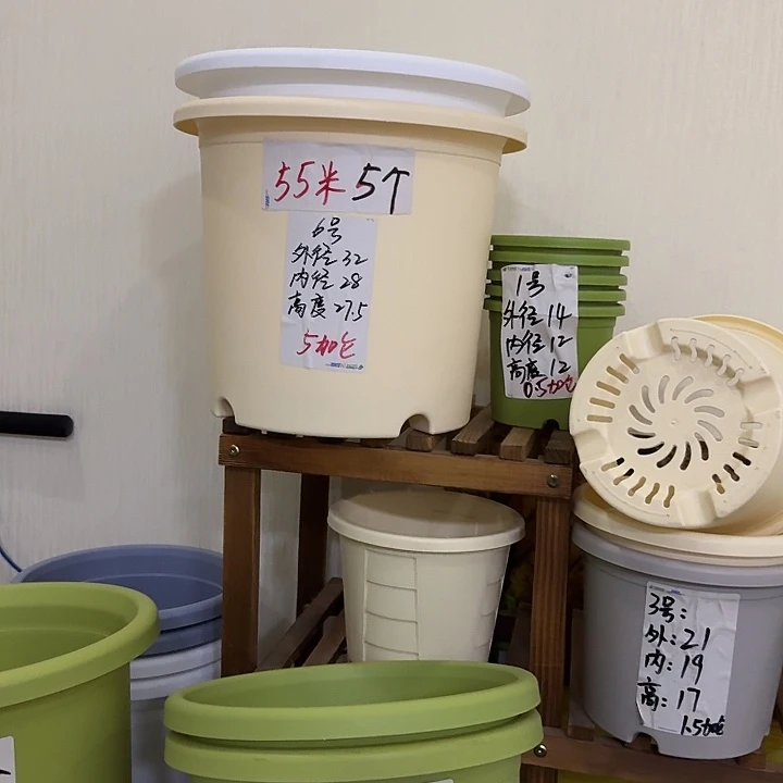 雾霾蓝6号无托4个