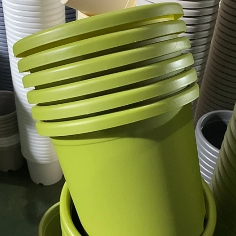 树脂特价5号6个无托果绿