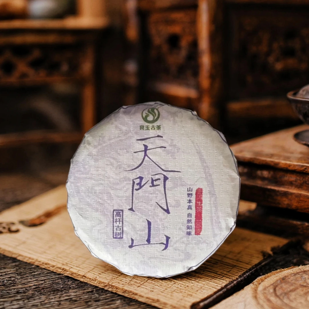 天门山稀有高杆古树2023年头春普洱生茶