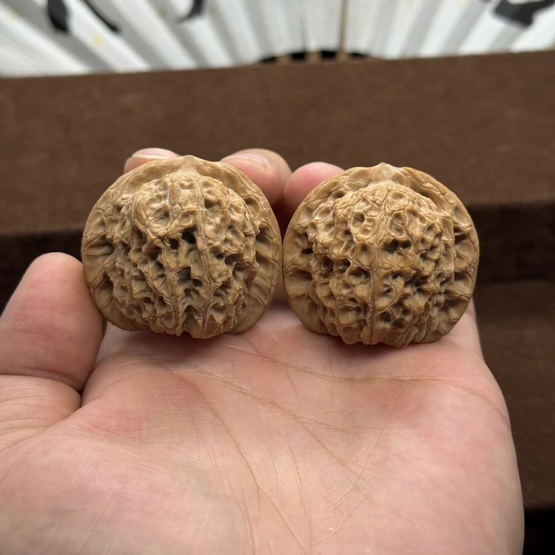 【中国涞水麻核桃协会】26 G60029-核中贵族血麒麟核桃（全品）-43mm