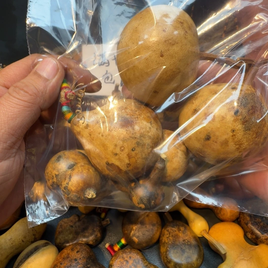 小***舟嘎嘎嘎嘎嘎嘎嘎嘎嘎嘎