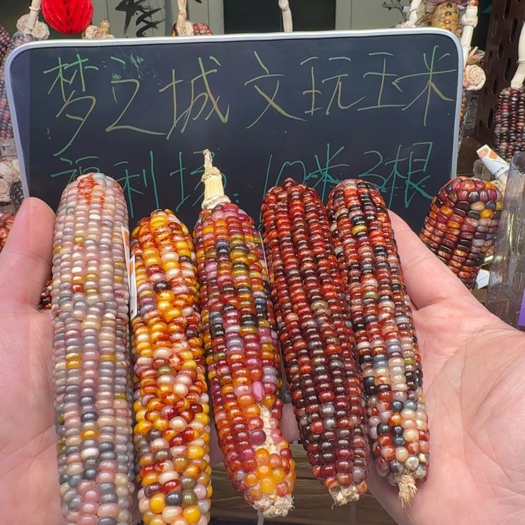 柏香籽/百香籽吊坠t**福