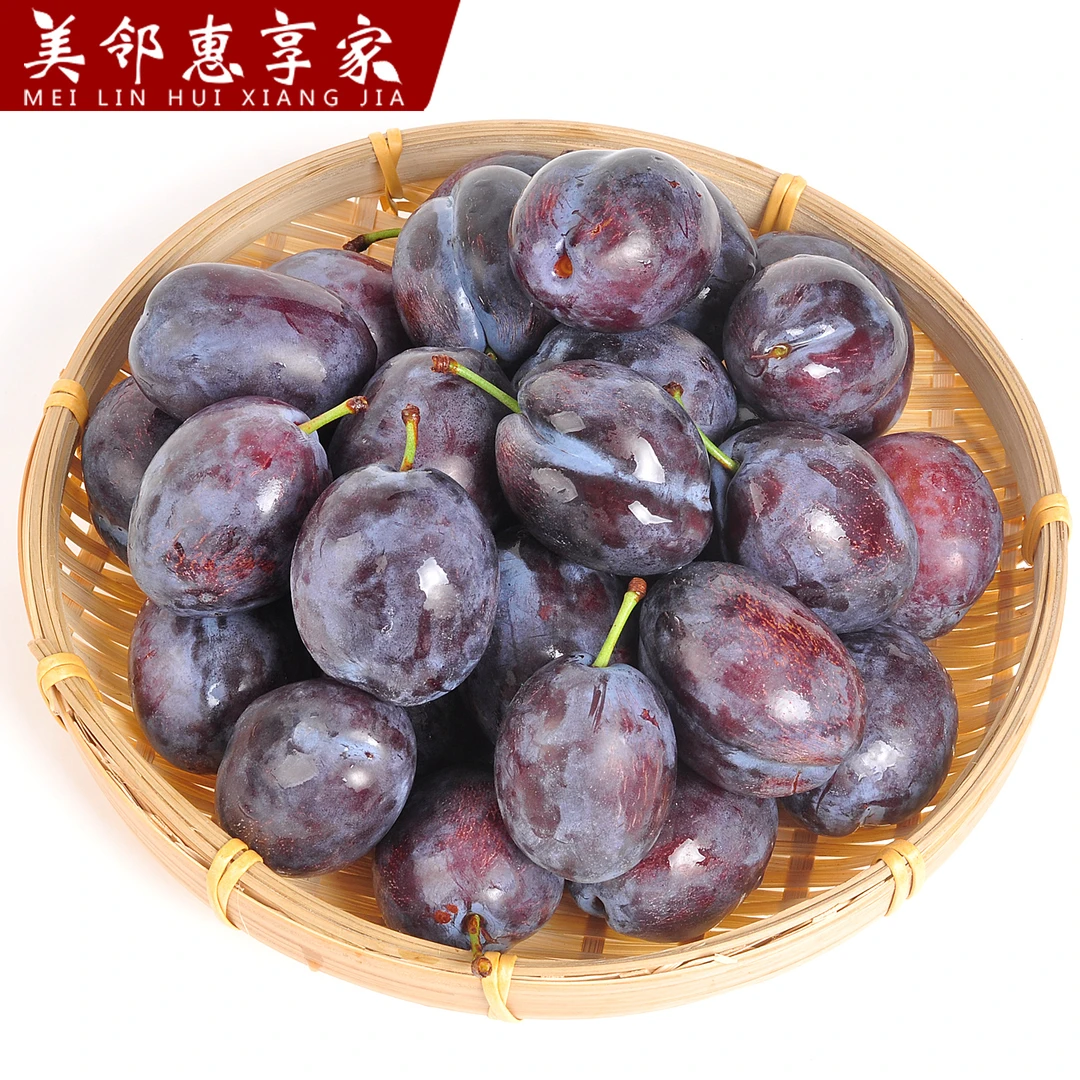 西梅新鲜采摘香甜多汁当季水果