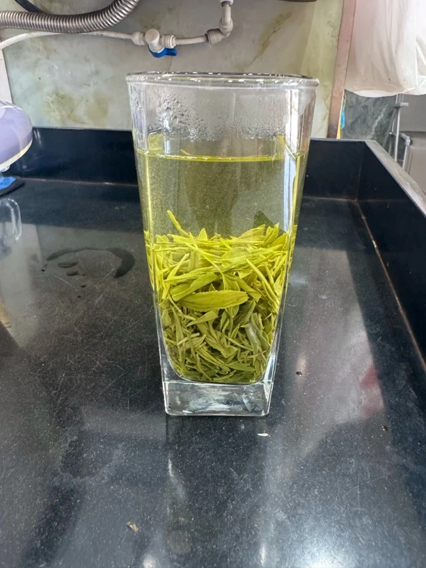 三峡雲翠阁2025年湖北宜昌绿茶99