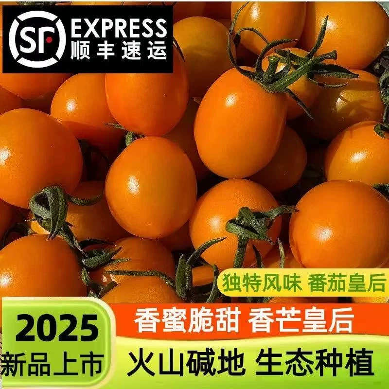 香芒皇后番茄2.7斤毛重,酸甜生吃小西红柿北京市