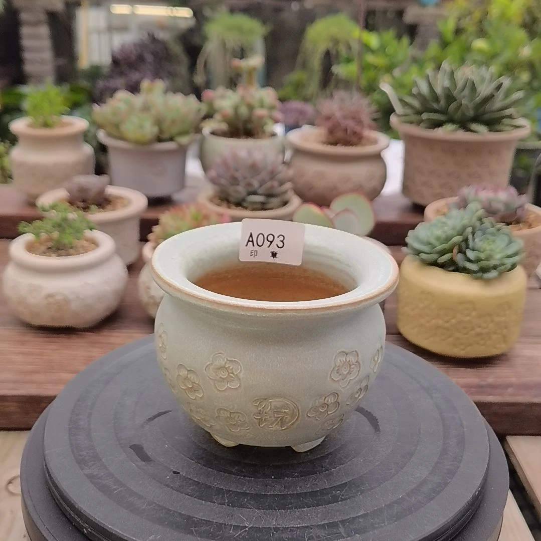 印章多肉花盆A093
