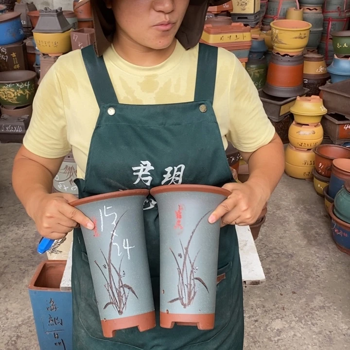 紫砂花盆盆栽花卉苗木
