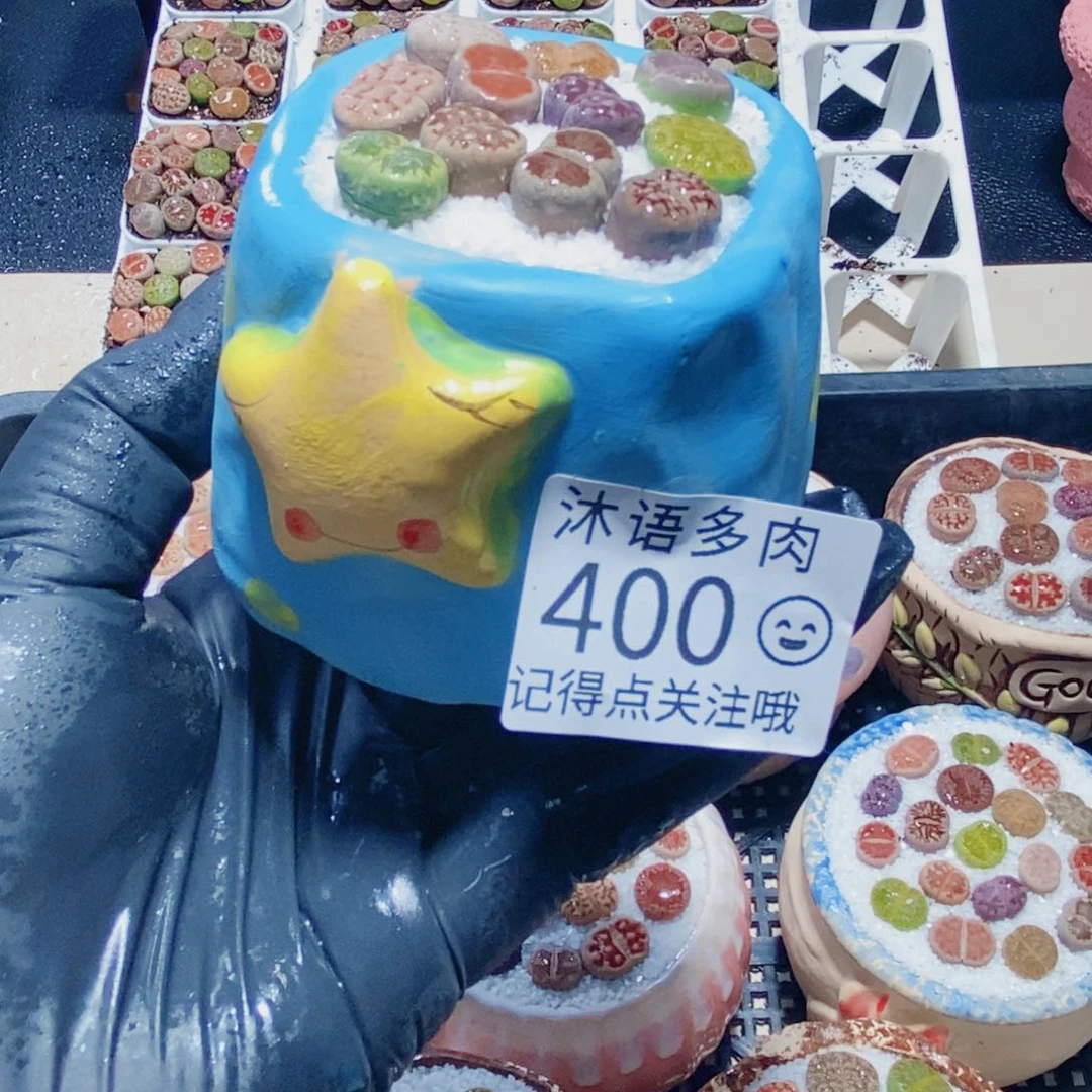 一物一拍 所见即所得400