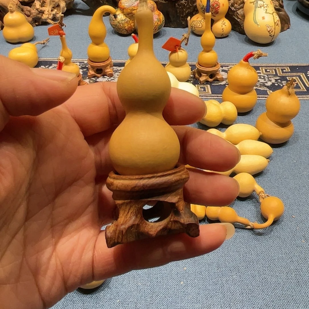 木，*天葫芦等经济林木生长于