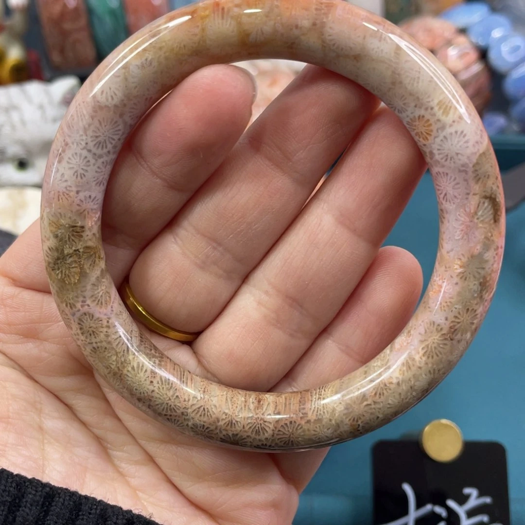 未镶嵌手镯硅化玉