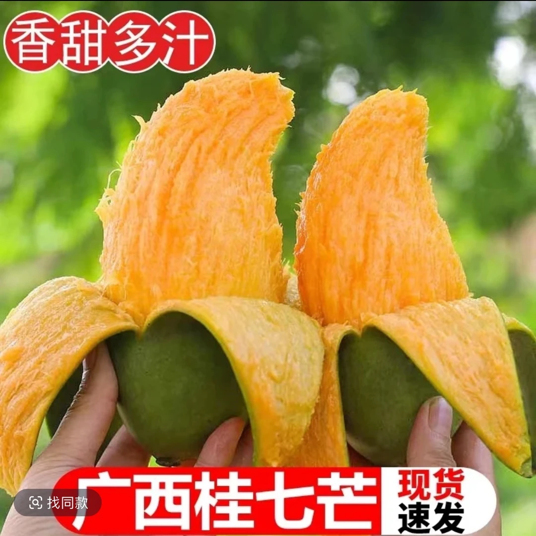 【放软食用】广西正宗桂七香甜多汁当季水果现摘现发老树果青皮Z