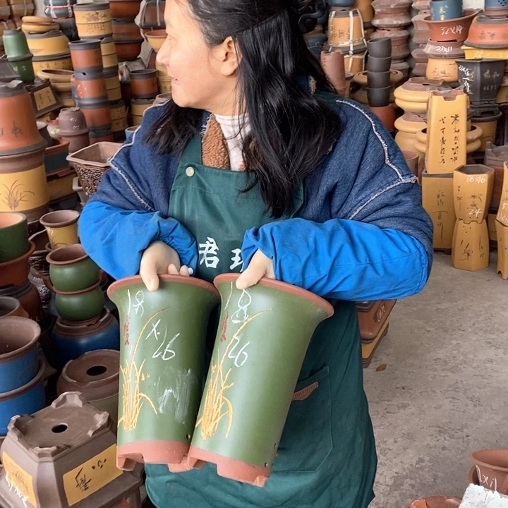 紫砂花盆盆栽花卉苗木种植