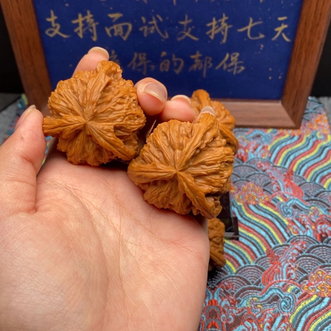 【闪购商品】小****爱白狮