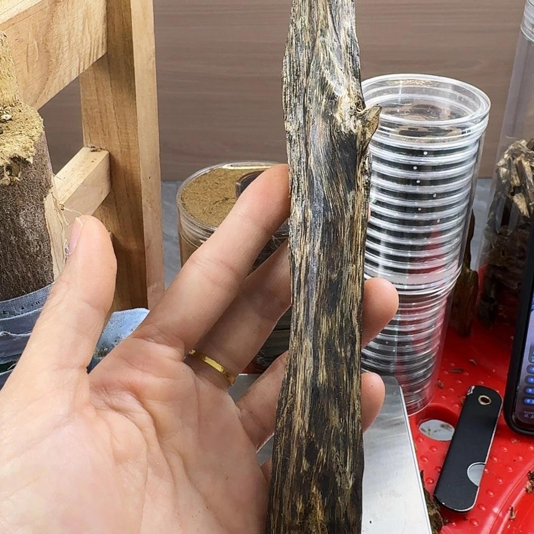 香料绿奇楠虫漏白棋30 克