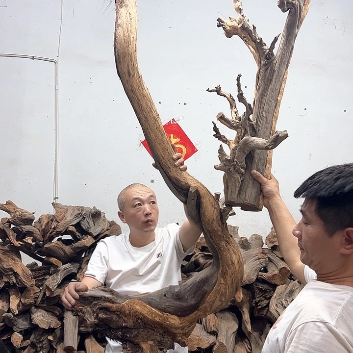 柏木凌**艺我们都是好孩子呀我也是