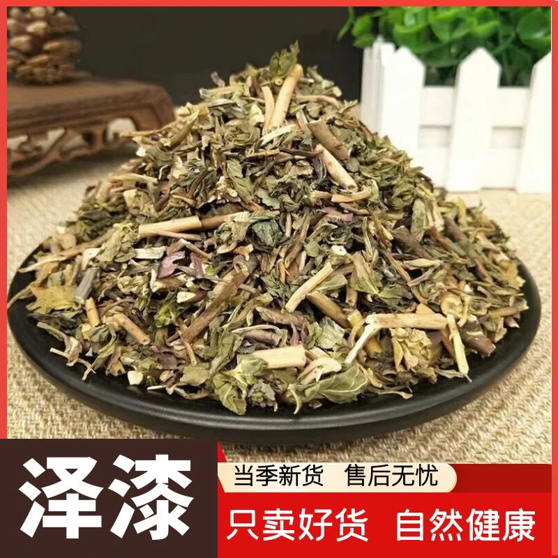 野生泽漆中药材正品则漆五朵云猫眼草五凤草灯台草泽漆的功效作用