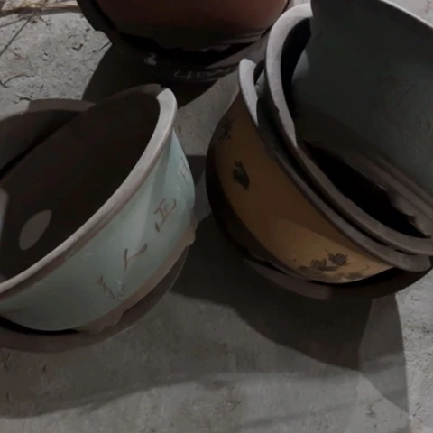 170-6。     微瑕。