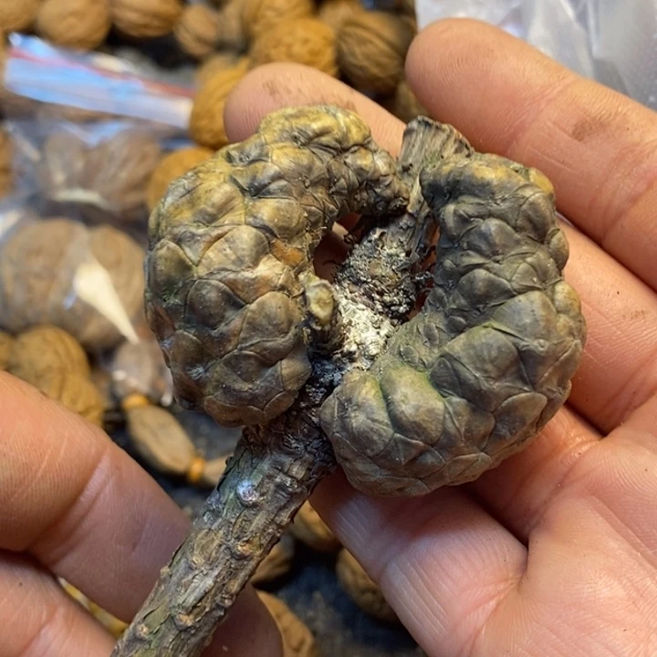 吊坠桃核娜姐了我46