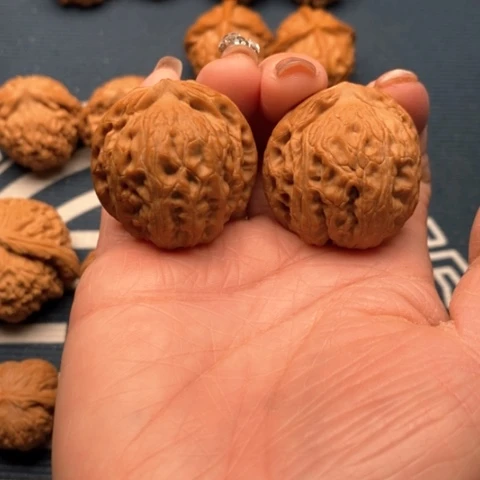 橄榄核手串/手链龙胆