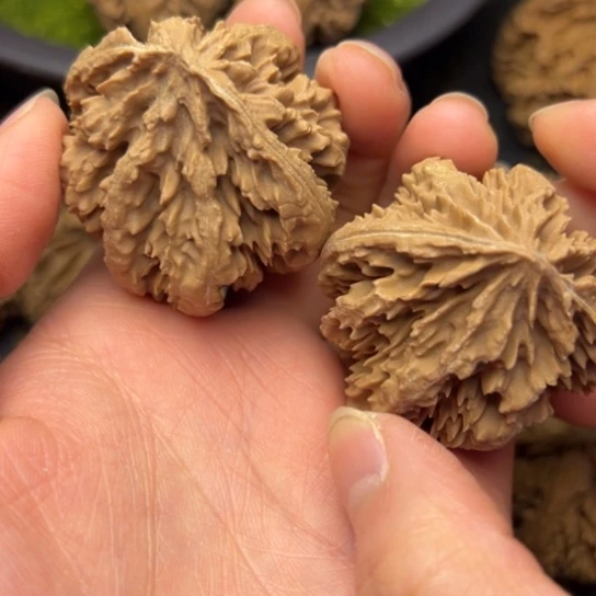 文玩核桃把件秦岭核桃26