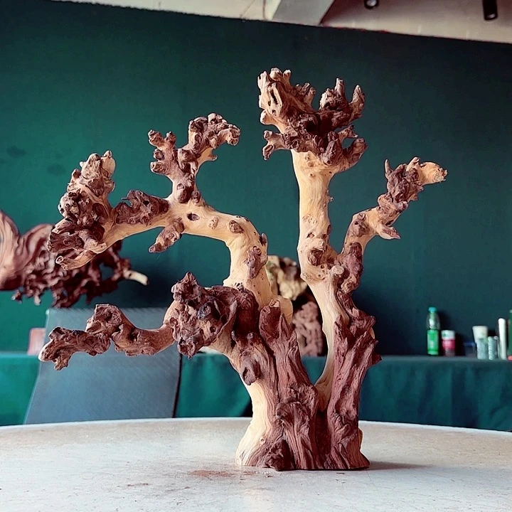 黑果木惠****店004 金丝红木羊蹄甲半成品