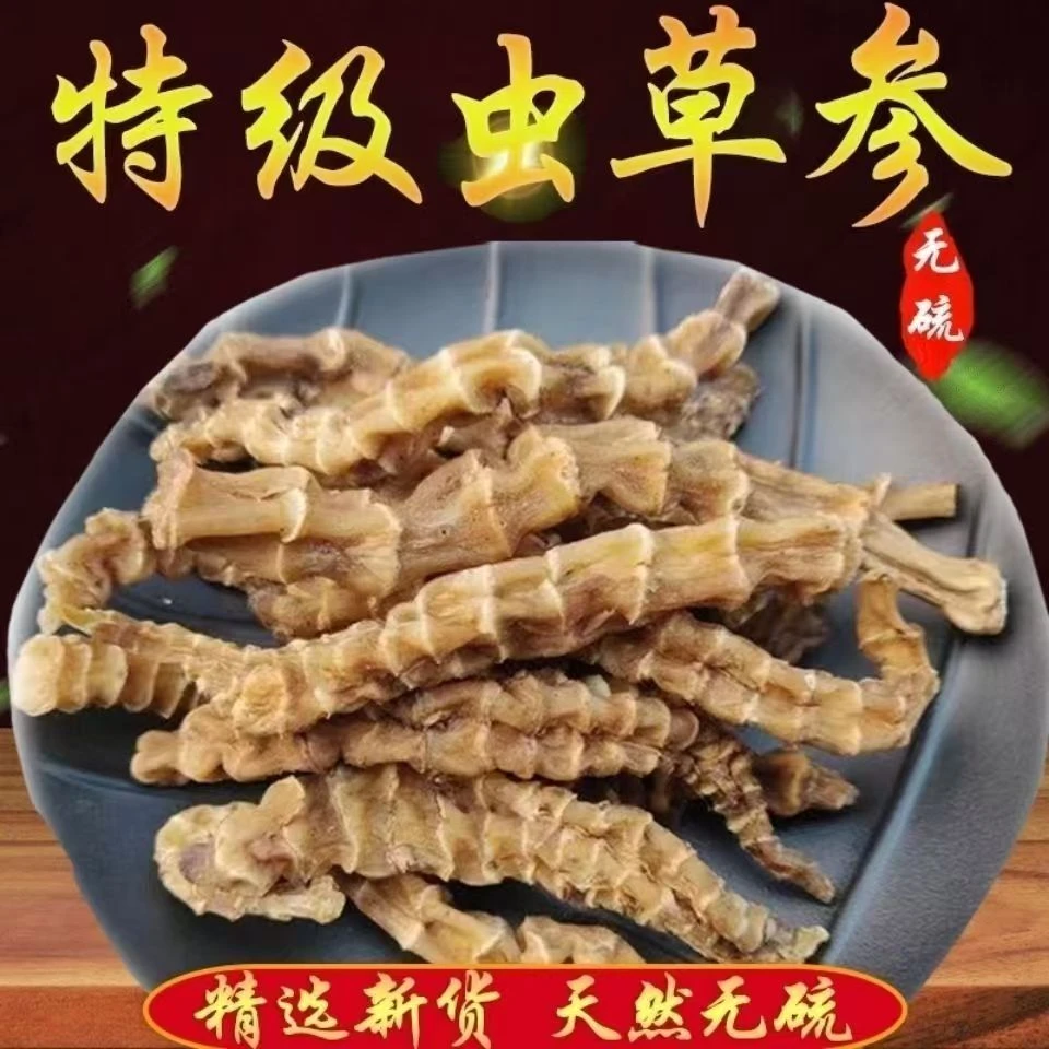 Y 新货云南特产虫草参 干货 煲汤无硫 品质严选