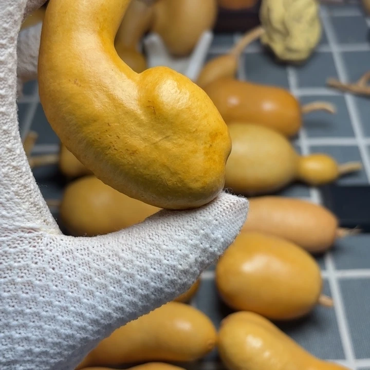 随***5裂6666666666666666