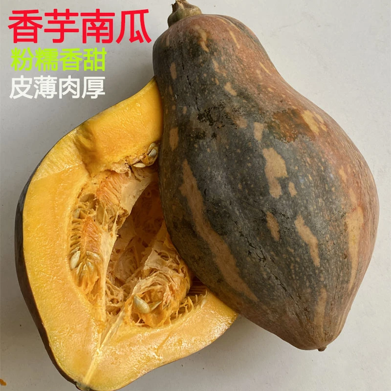 农家自种新鲜香芋南瓜软糯香甜适合宝宝辅食时令蔬菜