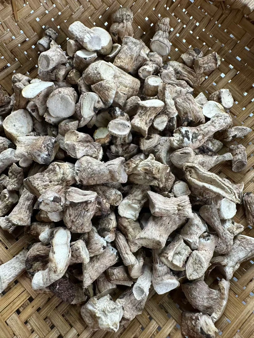 (香菇脚）肥厚食用菌煲汤炖汤菌菇菌类生长方便500g