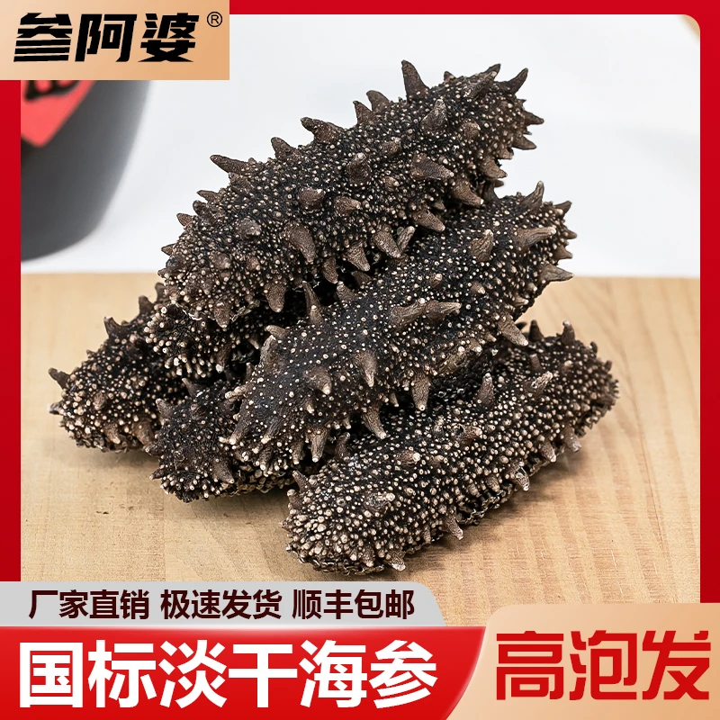 【参阿婆】 国标淡干海参刺参 140-150头/斤 500g 高泡发率肉厚劲道