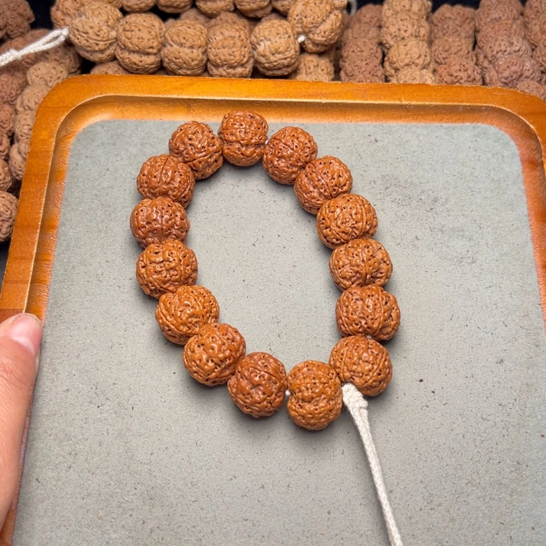 菩提16号金刚菩提满肉梅花21