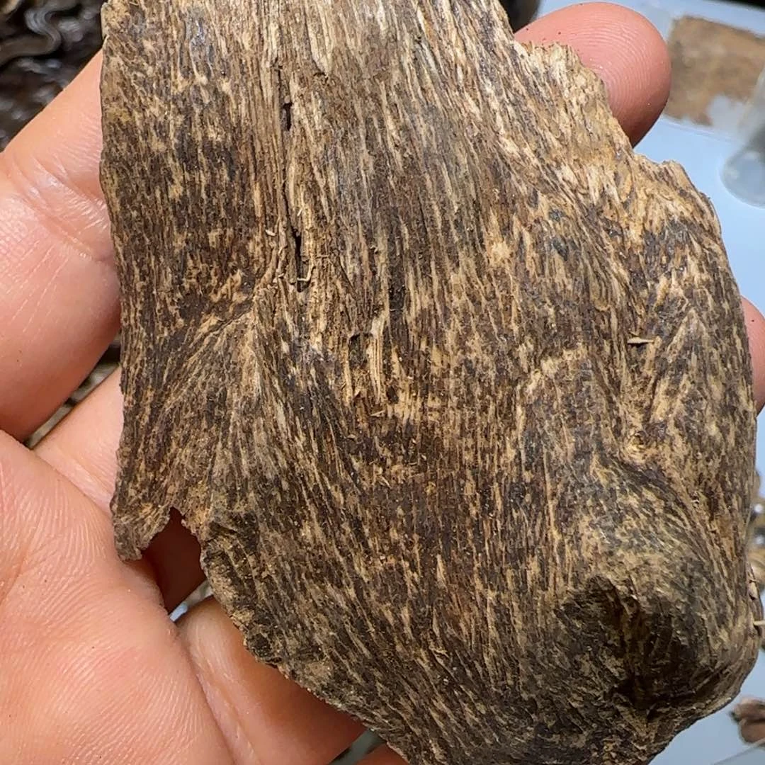 沉香沉香碎屑5.04克达拉干9分沉瘤疤