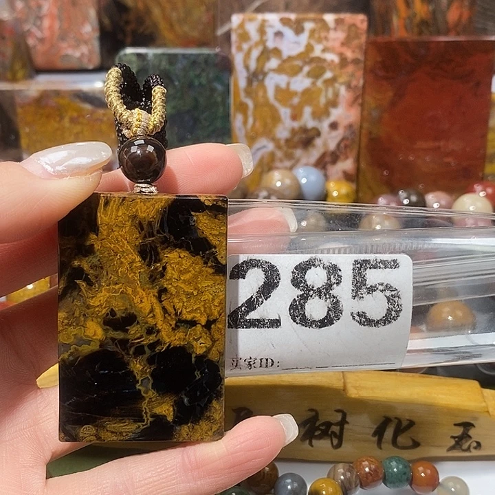 硅化玉未镶嵌天然北票树化玉吊坠